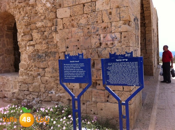 majdal3asqlan519 (15).JPG